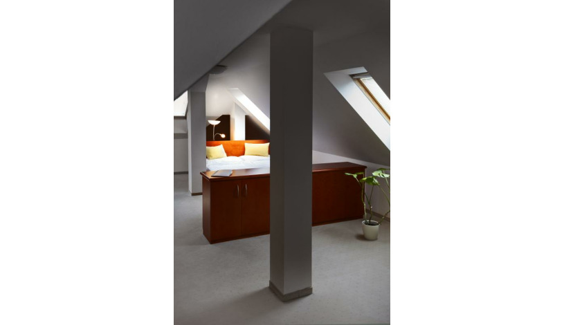 Wellness Hotel La Passionaria Mariánské Lázně